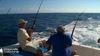 Web TV - New Caledonia Tourism - Recreational Fishing in New Caledonia